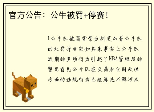 官方公告：公牛被罚+停赛！